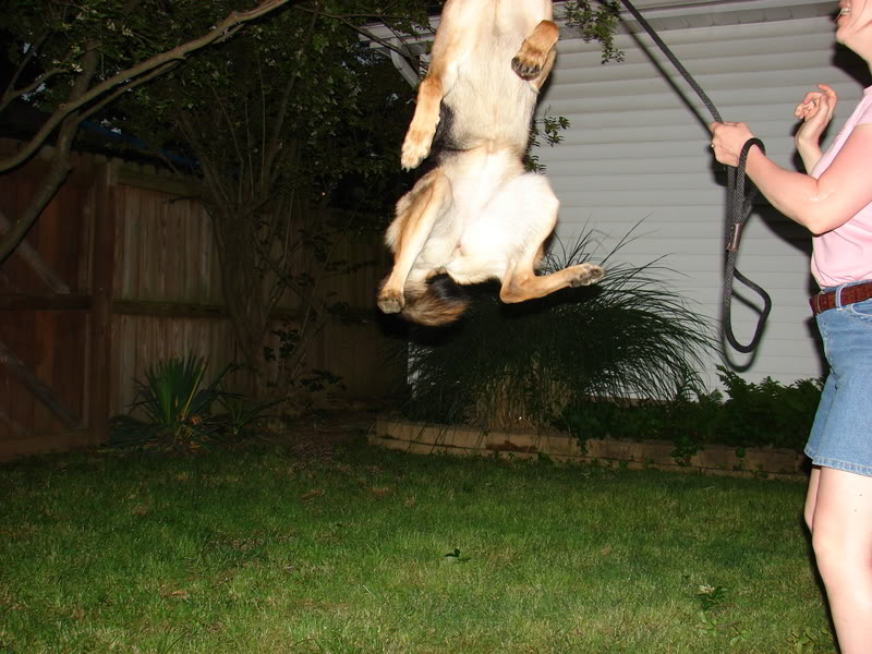 Name:  sashajump2.jpg
Views: 533
Size:  110.6 KB