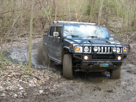 Name:  IMG_1147.jpg
Views: 55
Size:  52.2 KB