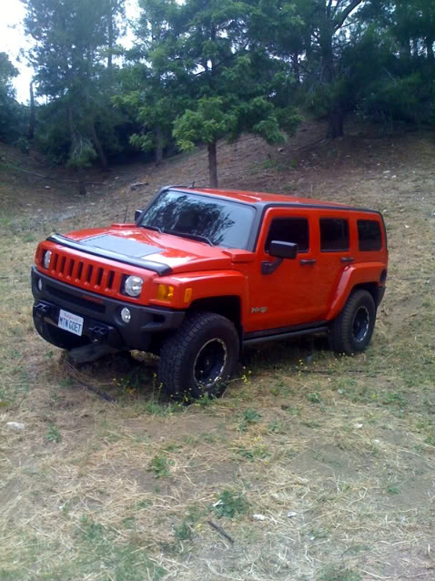 Name:  IMG_0150800600.jpg
Views: 64
Size:  88.5 KB