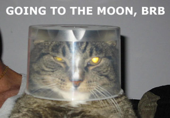 Name:  moon.jpg
Views: 17
Size:  33.4 KB