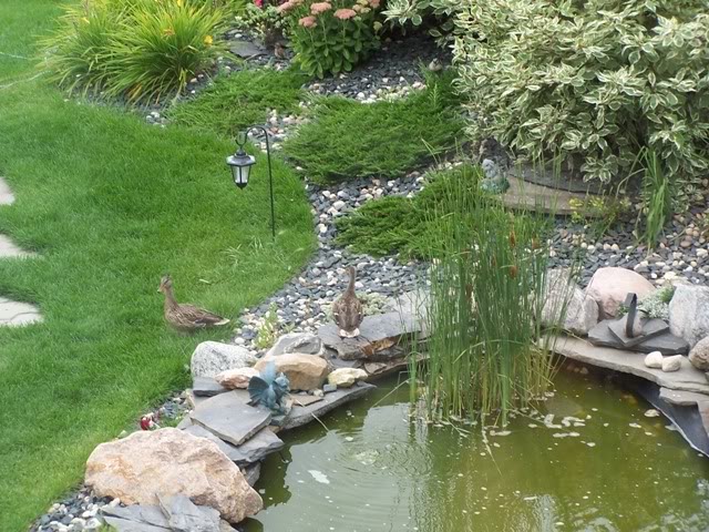 Name:  100_0150.jpg
Views: 37
Size:  110.2 KB