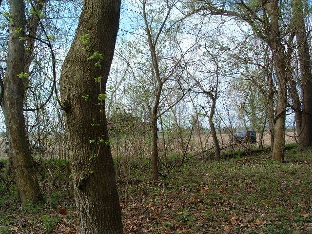 Name:  LynchOpenHouse08012.jpg
Views: 39
Size:  100.2 KB