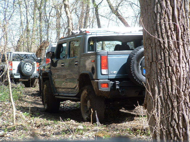 Name:  LynchOpenHouse08017.jpg
Views: 44
Size:  100.6 KB