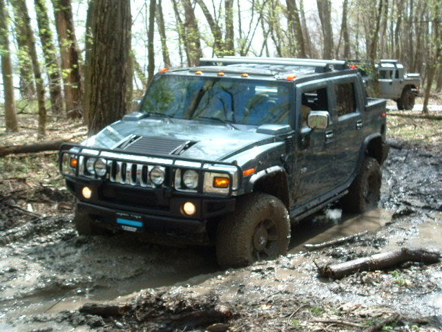 Name:  LynchOpenHouse08019.jpg
Views: 55
Size:  83.7 KB