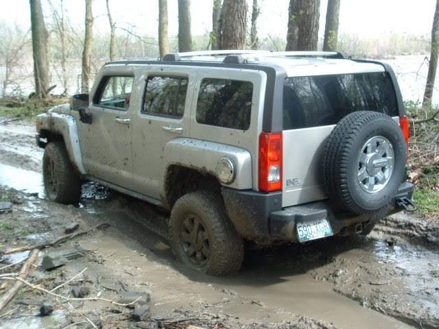 Name:  LynchOpenHouse08021A.jpg
Views: 51
Size:  66.6 KB