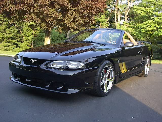 Name:  Mustang060707018.jpg
Views: 45
Size:  103.1 KB
