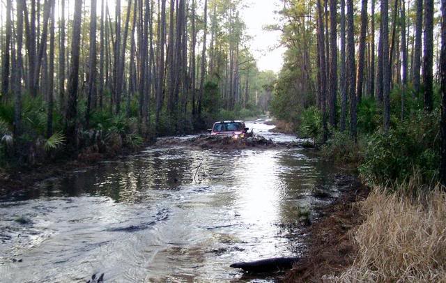 Name:  100_3529.jpg
Views: 152
Size:  73.1 KB