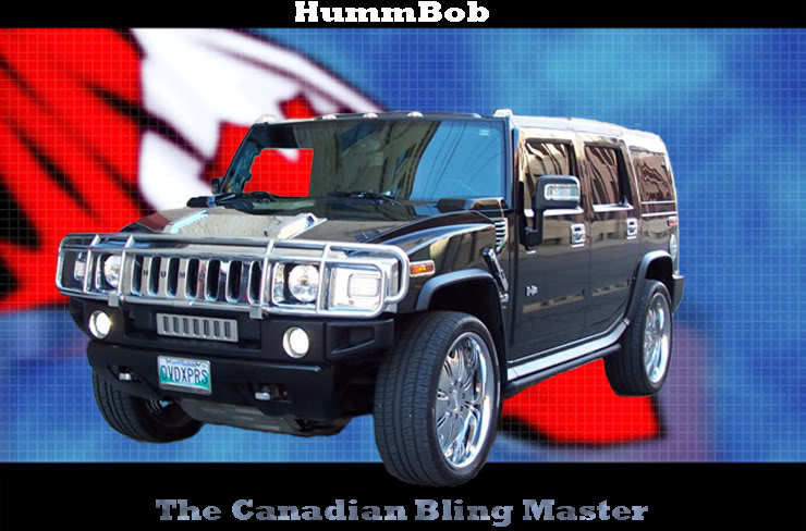 Name:  hummbob.jpg
Views: 24
Size:  79.3 KB