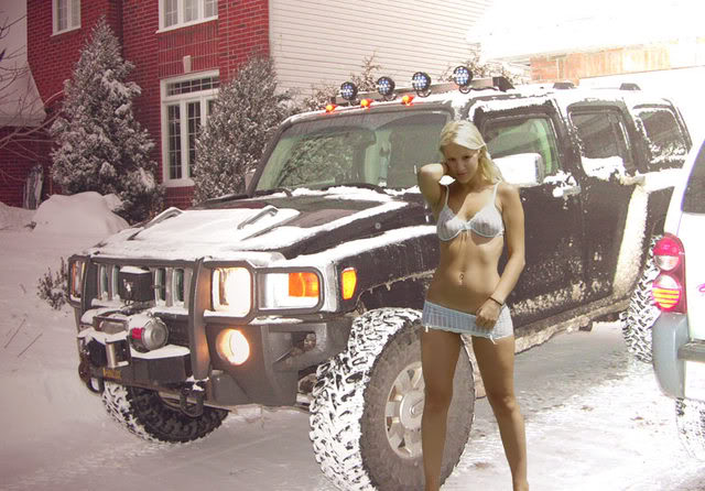 Name:  bikini01.jpg
Views: 48
Size:  68.3 KB
