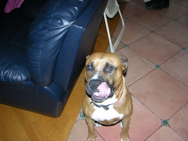 Name:  DSCN0012.jpg
Views: 61
Size:  42.2 KB