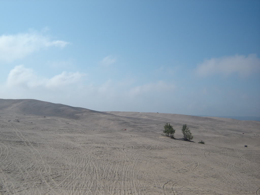 Name:  DSC00936.jpg
Views: 1179
Size:  71.8 KB