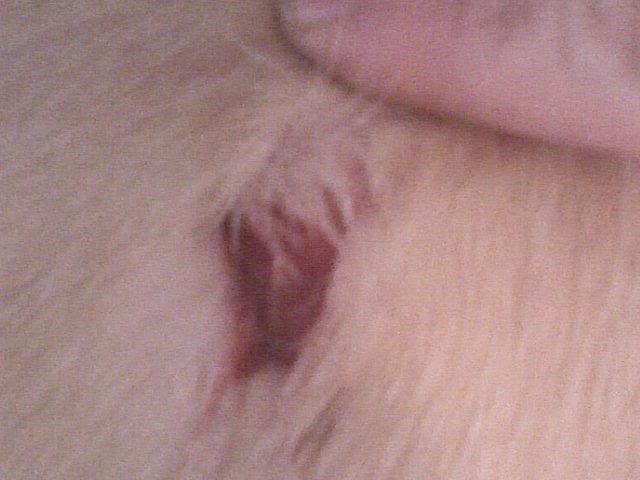 Name:  bailey.jpg
Views: 2197
Size:  34.1 KB