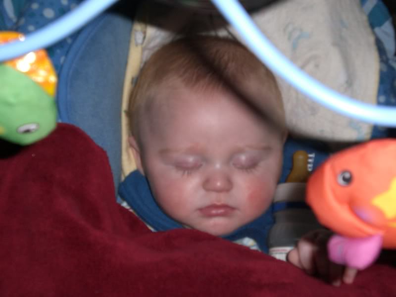Name:  CIMG0223.jpg
Views: 19
Size:  57.7 KB