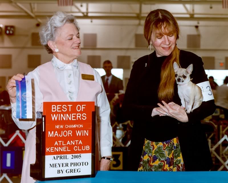 Name:  MinnieChamp.jpg
Views: 801
Size:  74.2 KB