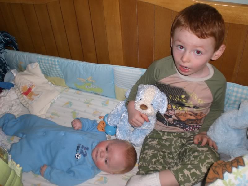 Name:  CIMG0212.jpg
Views: 43
Size:  91.8 KB