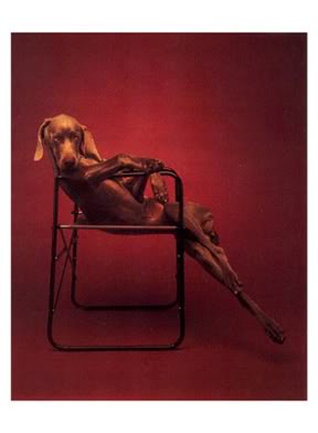 Name: Dog.jpg
Views: 28
Size: 11.1 KB