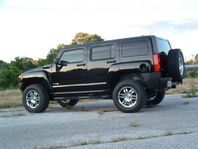 Name:  CopyofMyH3June200707.jpg
Views: 154
Size:  65.1 KB