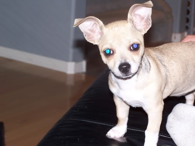 Name:  Copyof100_1171.jpg
Views: 56
Size:  34.0 KB