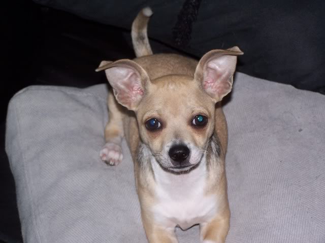 Name:  Copyof100_1162.jpg
Views: 61
Size:  35.5 KB