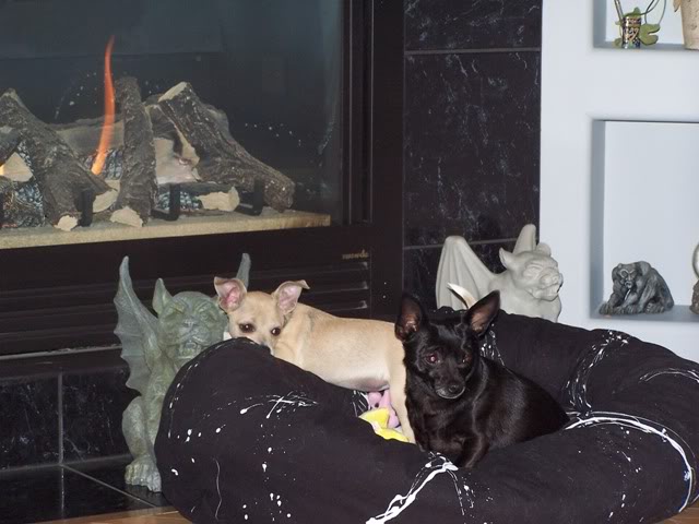 Name:  Copyof100_1264.jpg
Views: 42
Size:  52.0 KB