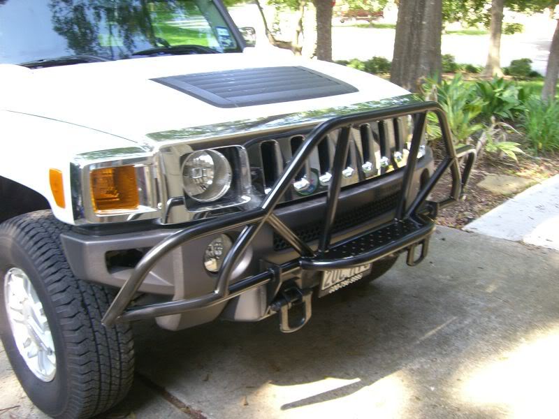 Name:  mybrushguard3.jpg
Views: 289
Size:  112.5 KB