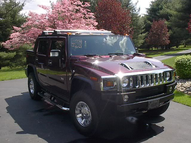 Name: Hummer050306018.jpg
Views: 142
Size: 89.3 KB