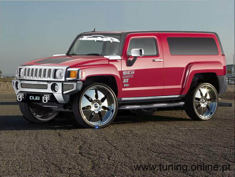 Name:  hummer2.jpg
Views: 39
Size:  96.8 KB