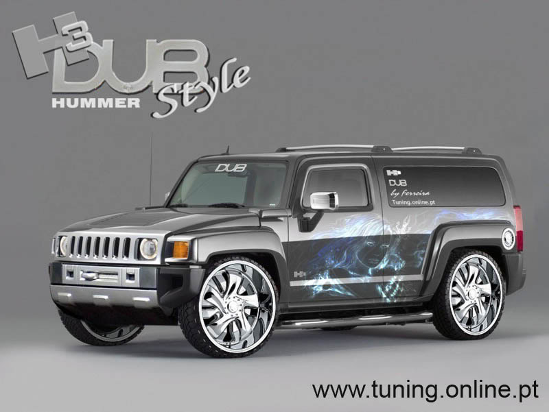Name:  hummer18.jpg
Views: 68
Size:  57.5 KB