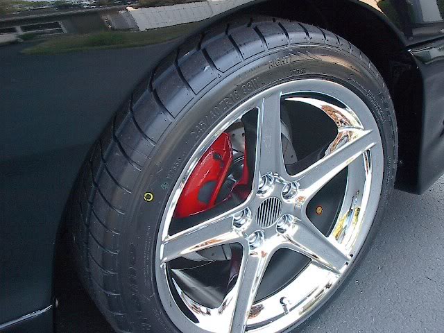 Name:  Mustang060707012.jpg
Views: 38
Size:  71.4 KB