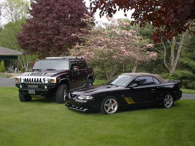 Name: Cars051107016.jpg
Views: 131
Size: 107.0 KB