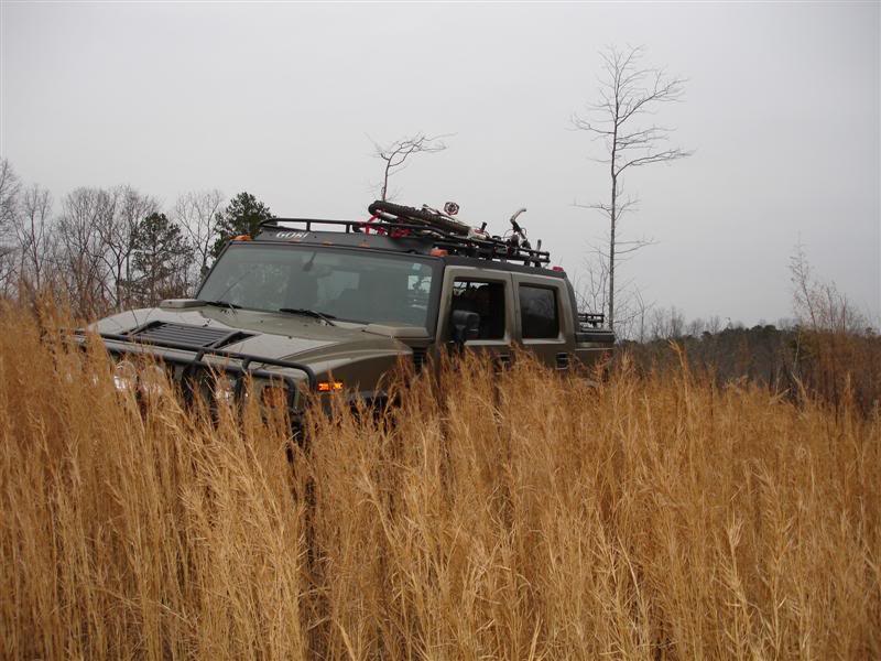 Name:  DSC02956Medium.jpg
Views: 149
Size:  75.1 KB