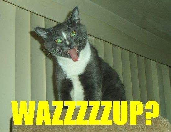 Name:  wazzup.jpg
Views: 26
Size:  25.6 KB