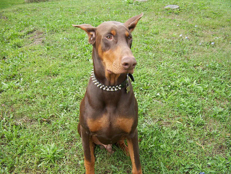 Name:  Picture015.jpg
Views: 81
Size:  164.6 KB