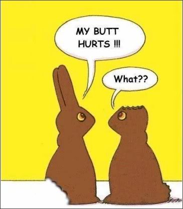 Name:  easter_chocolate_bunnies1.jpg
Views: 89
Size:  19.2 KB