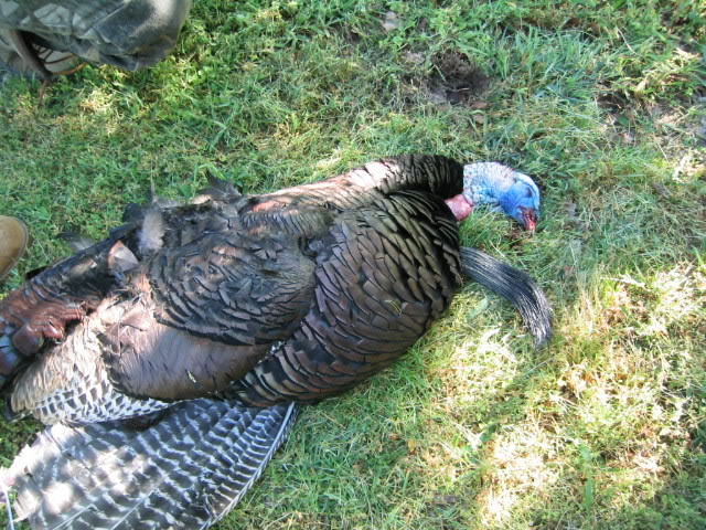 Name:  101_0186.jpg
Views: 101
Size:  138.4 KB