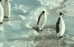 Name:  thth912cc03d1.gif
Views: 47
Size:  434.6 KB