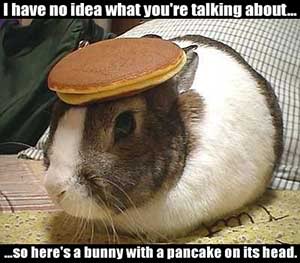 Name:  bunny2enhanced.jpg
Views: 97
Size:  16.2 KB