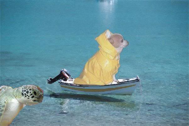 Name:  Lake_flying_boatt.jpg
Views: 35
Size:  30.2 KB