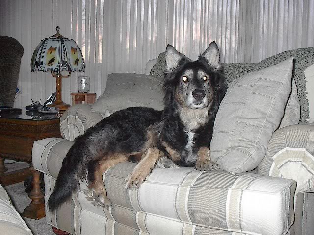 Name:  Rusty022706004.jpg
Views: 105
Size:  79.9 KB