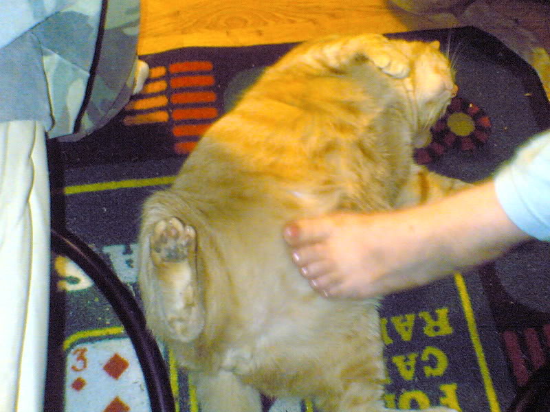 Name:  05232006.jpg
Views: 83
Size:  101.9 KB