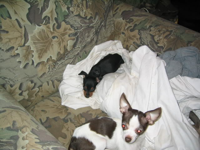 Name:  110_1016.jpg
Views: 35
Size:  63.9 KB