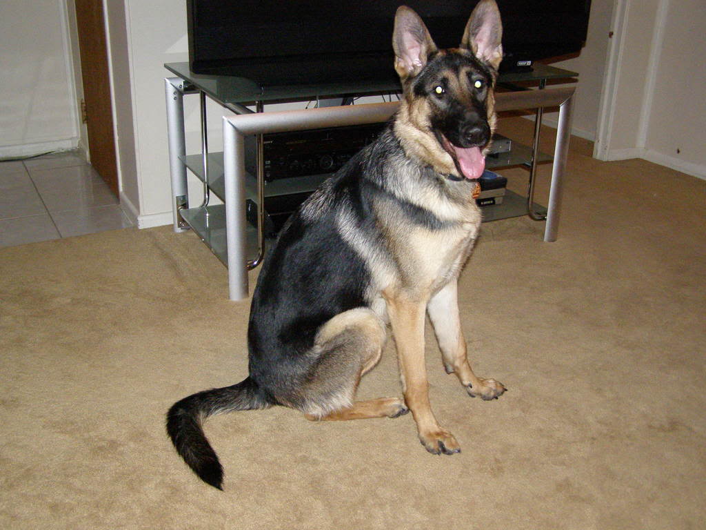 Name:  P2100047.jpg
Views: 49
Size:  97.9 KB