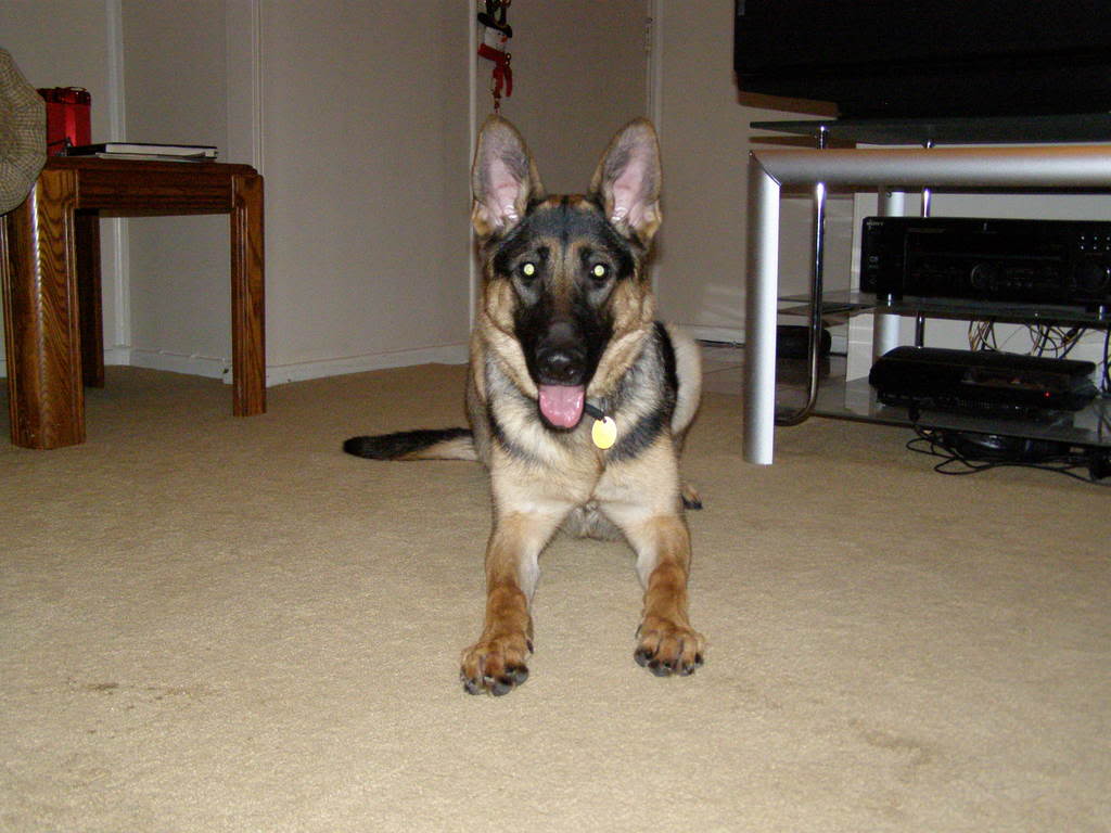 Name:  P2100043.jpg
Views: 34
Size:  92.7 KB