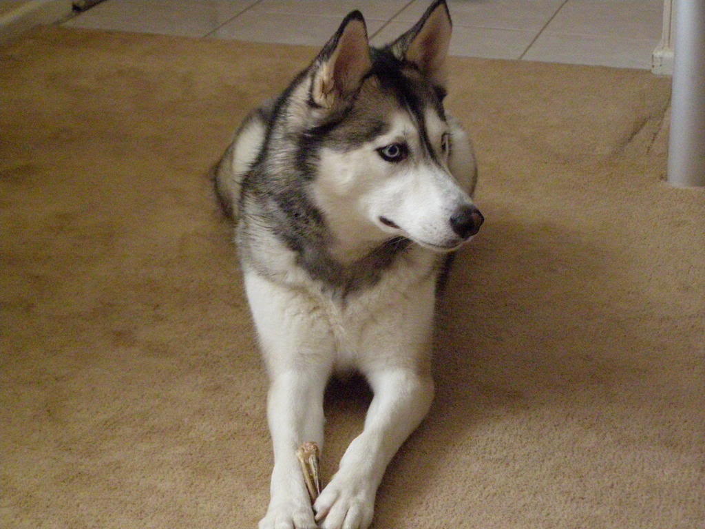 Name:  P2110100.jpg
Views: 80
Size:  108.0 KB