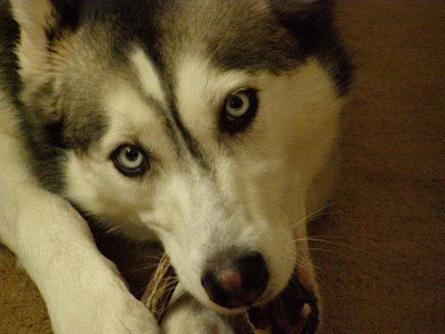 Name:  P2110104.jpg
Views: 37
Size:  42.6 KB