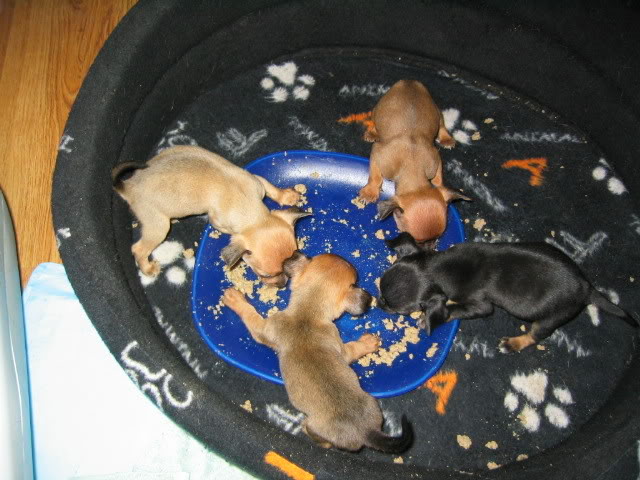 Name:  115_1547.jpg
Views: 65
Size:  72.4 KB