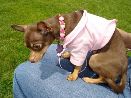 Name:  919152292_l.jpg
Views: 33
Size:  28.8 KB