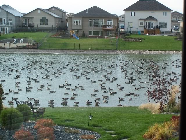 Name:  100_0262.jpg
Views: 40
Size:  101.5 KB