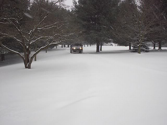 Name:  Hummer021307002.jpg
Views: 116
Size:  57.3 KB