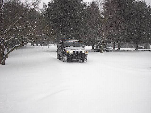 Name:  Hummer021307003.jpg
Views: 133
Size:  59.0 KB